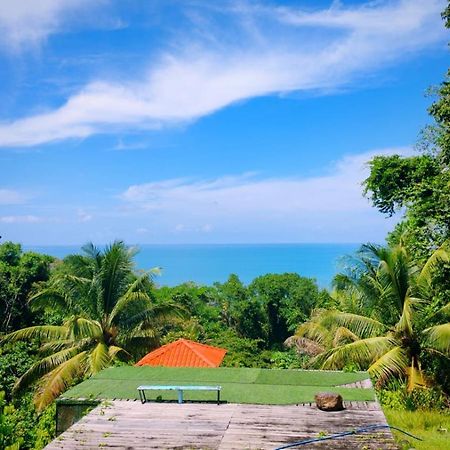 Corcovado Green Cabin & House Дрейк Екстер'єр фото