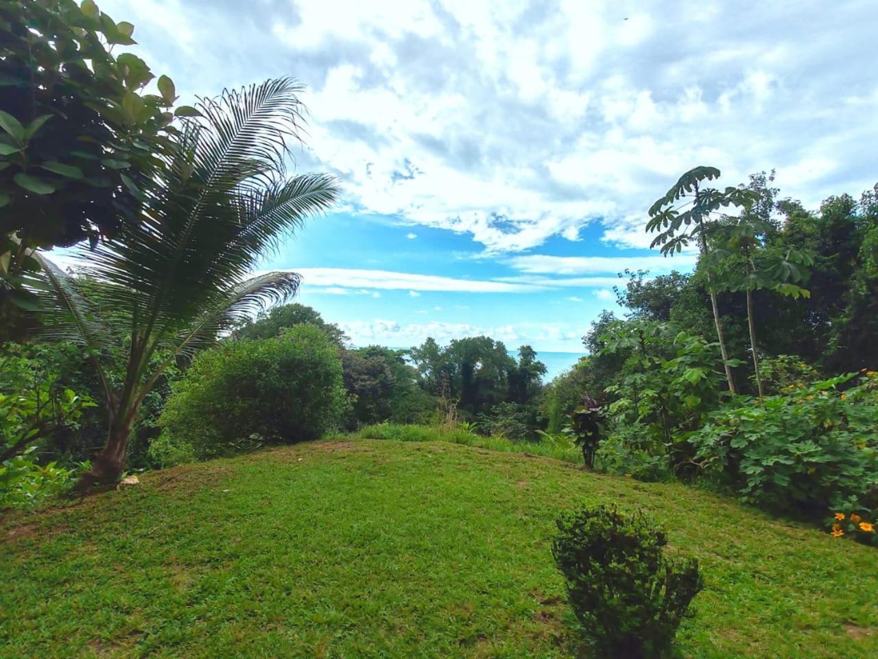 Corcovado Green Cabin & House Дрейк Екстер'єр фото