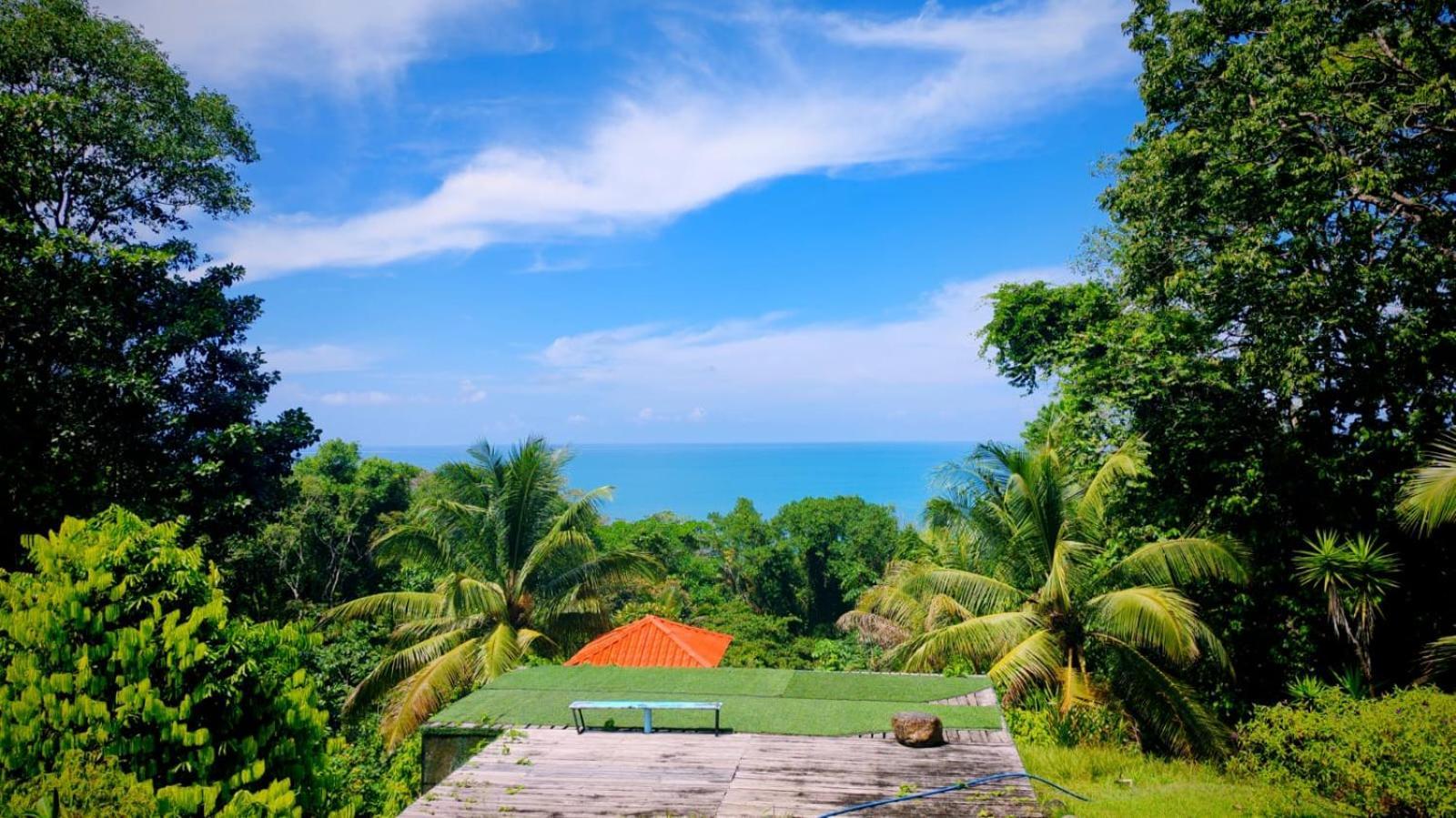 Corcovado Green Cabin & House Дрейк Екстер'єр фото