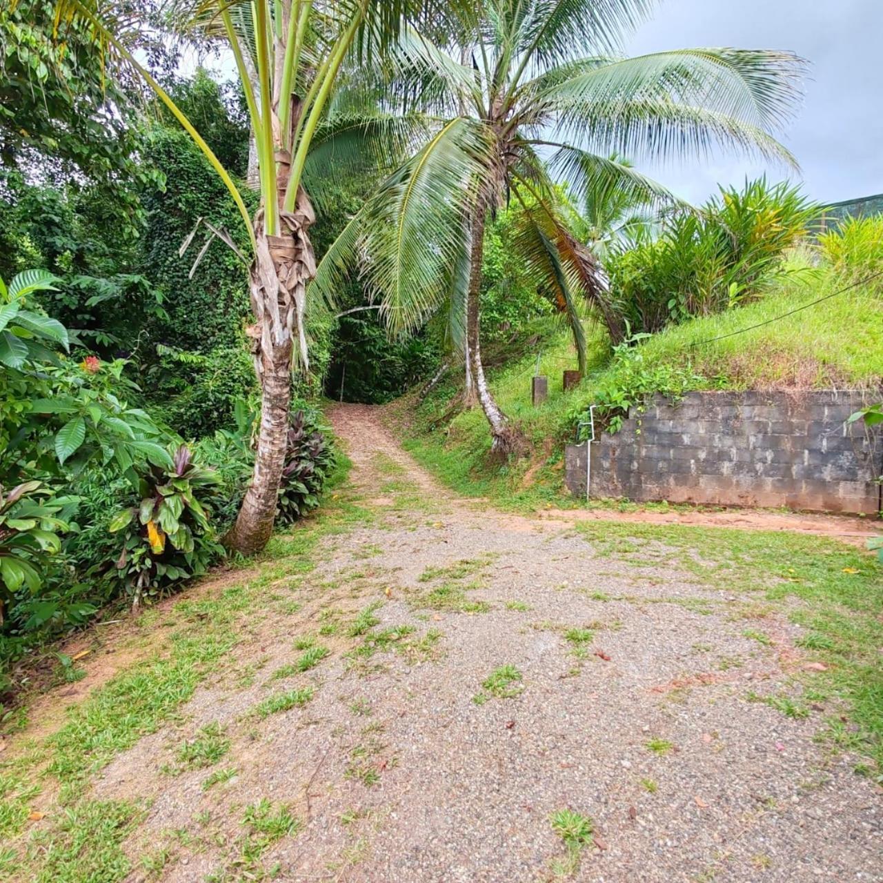 Corcovado Green Cabin & House Дрейк Екстер'єр фото