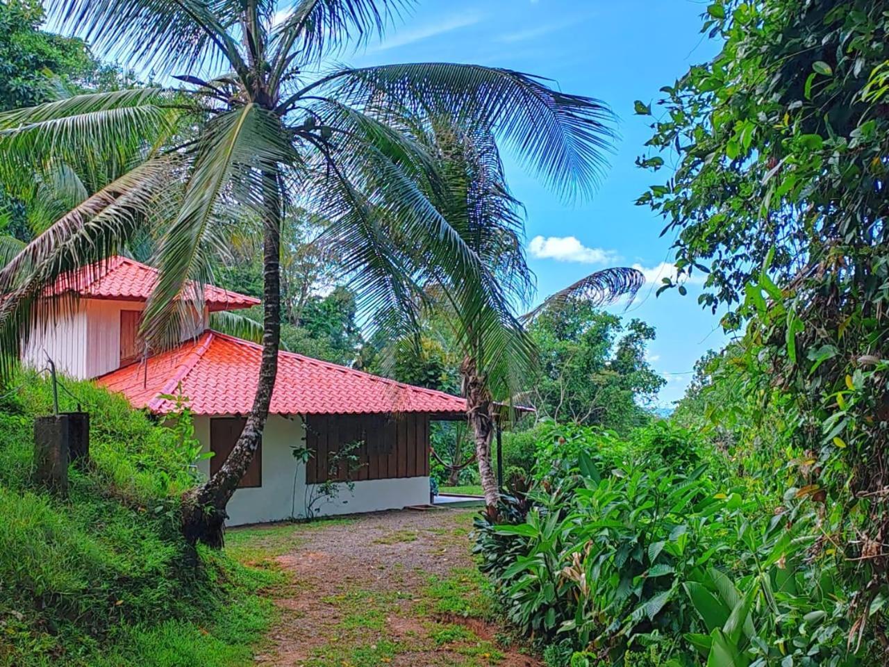 Corcovado Green Cabin & House Дрейк Екстер'єр фото