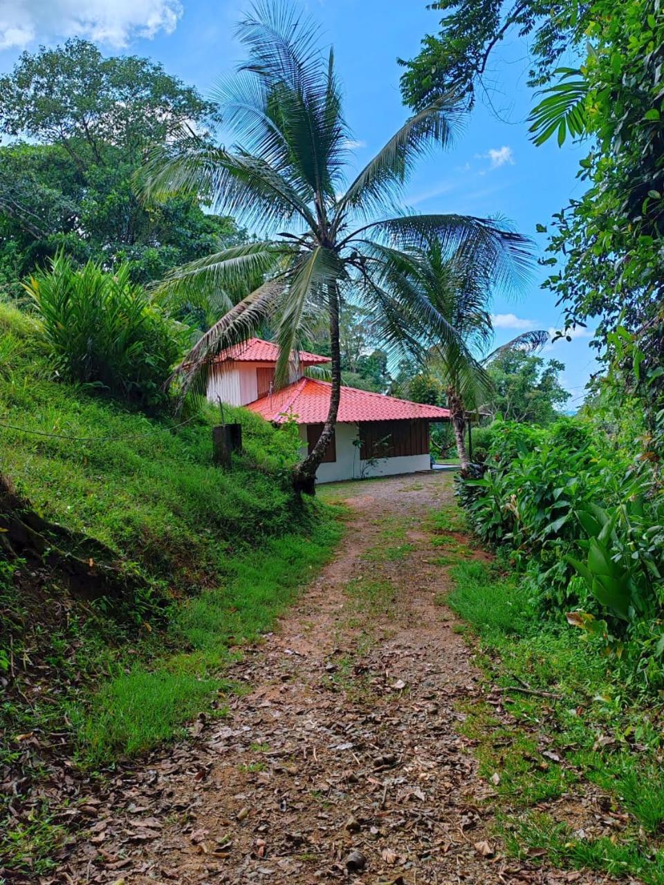 Corcovado Green Cabin & House Дрейк Екстер'єр фото